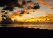 Wilcommen, No. 0171 Golden Sunset from on the Beach